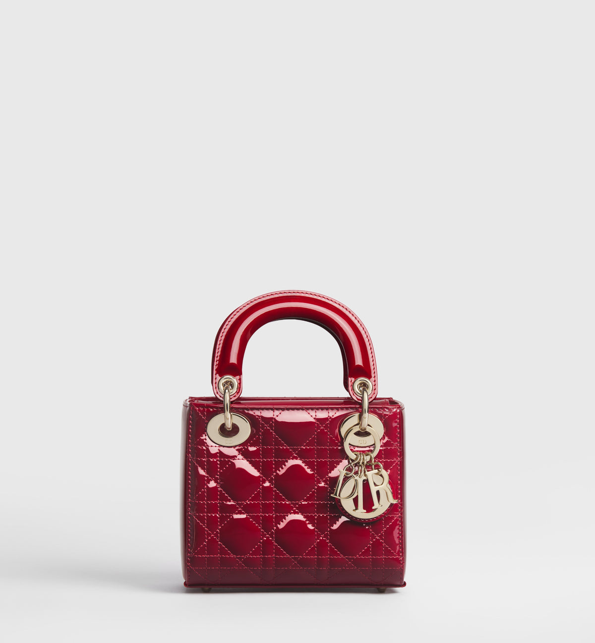 "D*OR" Mini Bag Rot