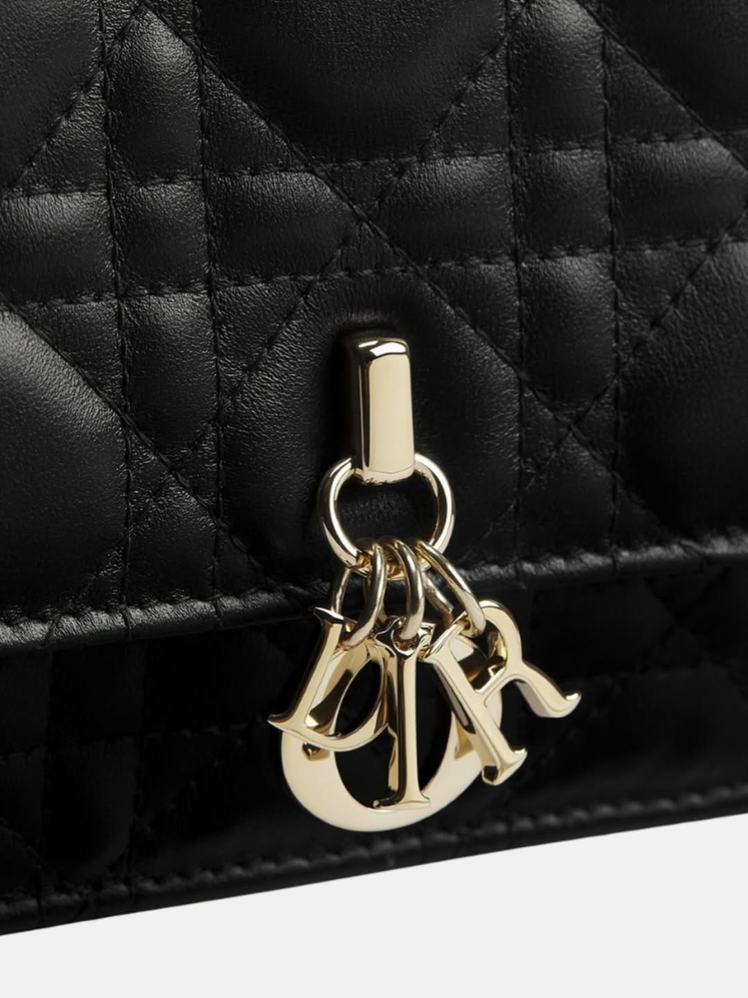 "MY DIOA" Mini Bag